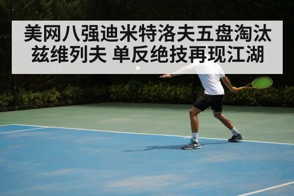 美网八强迪米特洛夫五盘淘汰兹维列夫 单反绝技再现江湖